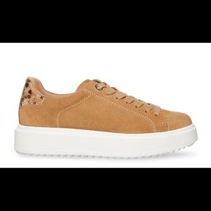 Steve Madden Catcher Taupe 8